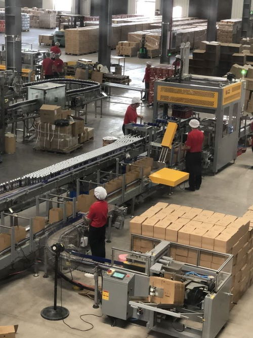 酸梅湯文化碰撞,全國首家酸梅湯文創參觀型工廠在漢亮相